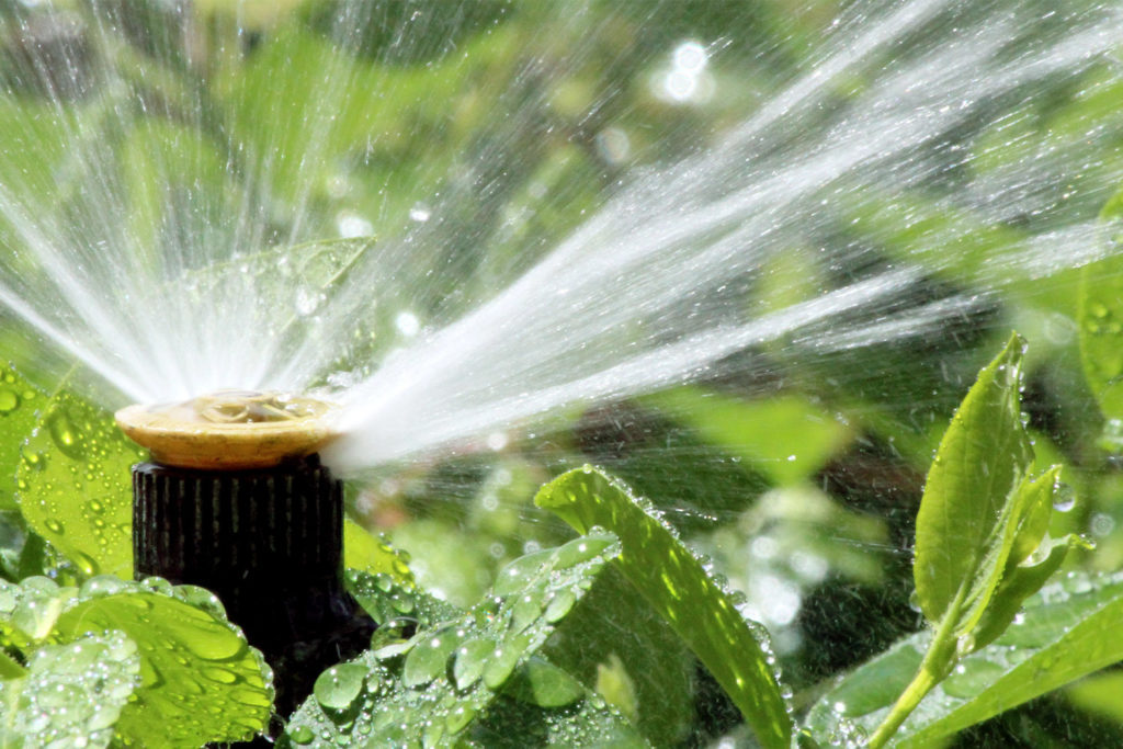 Consulting BrightWater Illumination & Irrigation